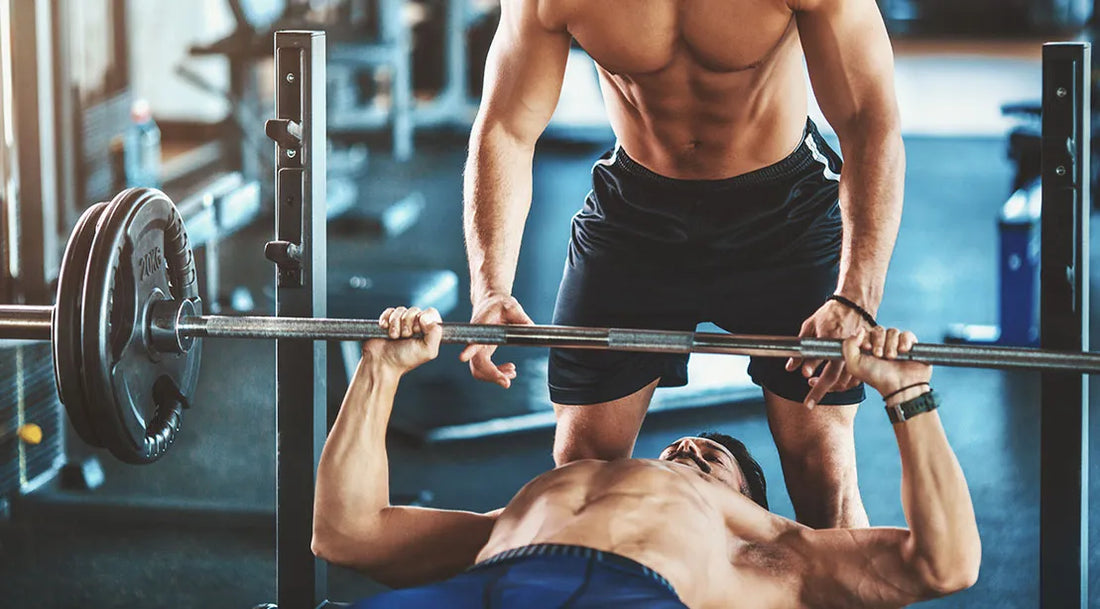 The Ultimate Guide to Finding and Being a Great Powerlifting Training Partner