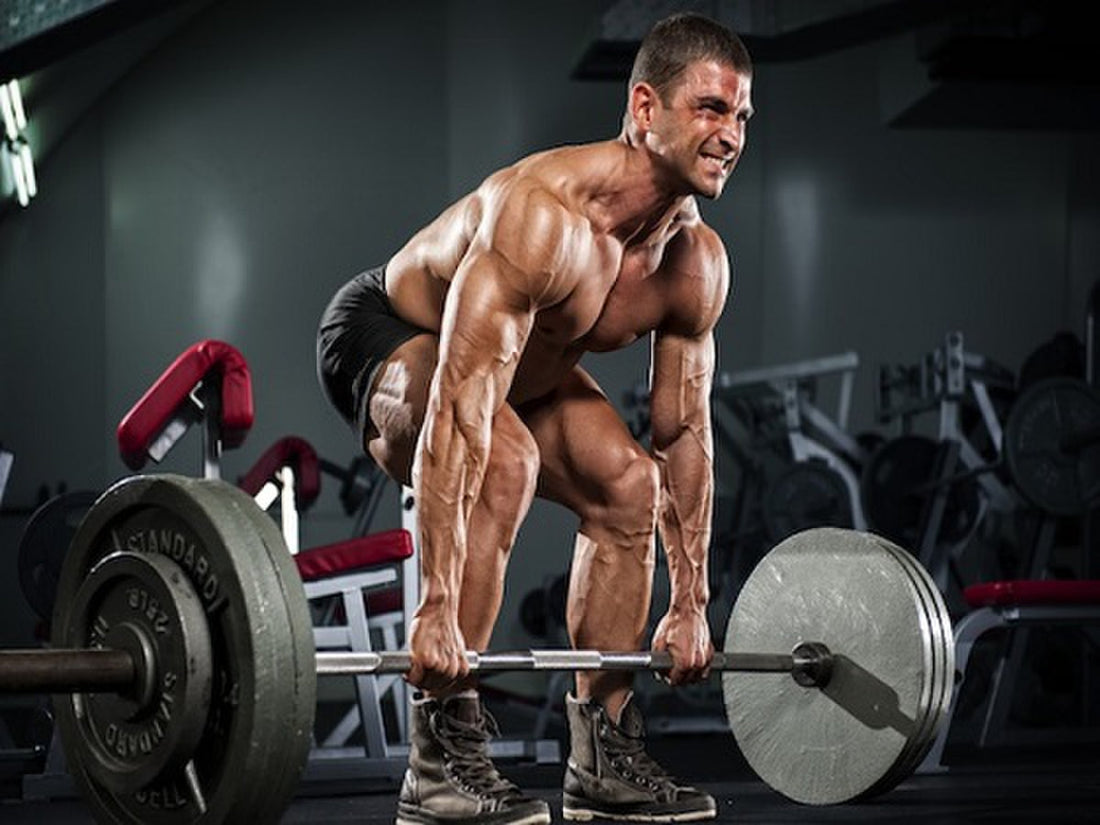 Deadlift Form and Tips: Master the King of Lifts