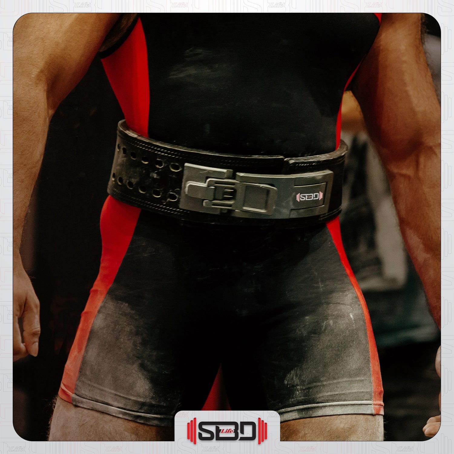 SBDLife Gears